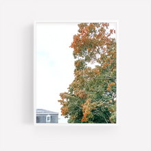 Load image into Gallery viewer, Vertical Fall Foliage Art framed in white