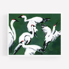 Load image into Gallery viewer, Sandhill Crane Grouping, Jade, Fine Art Print
