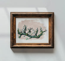 Load image into Gallery viewer, Almond Bloem, Fine Art Print