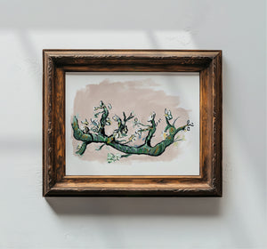 Almond Bloem, Fine Art Print