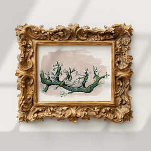 Almond Bloem, Fine Art Print