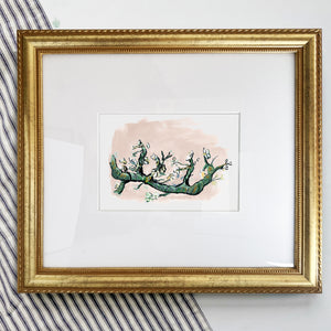 Almond Bloem, Fine Art Print