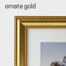 Load image into Gallery viewer, Arles Medallion, Abstract Botanical