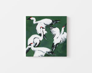 Sandhill Crane Grouping on Jade Green on Canvas Wrap