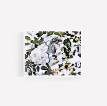 Load image into Gallery viewer, White Floral in Sunlight